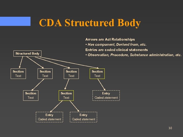 CDA Structured Body Arrows are Act Relationships • Has component, Derived from, etc. Entries