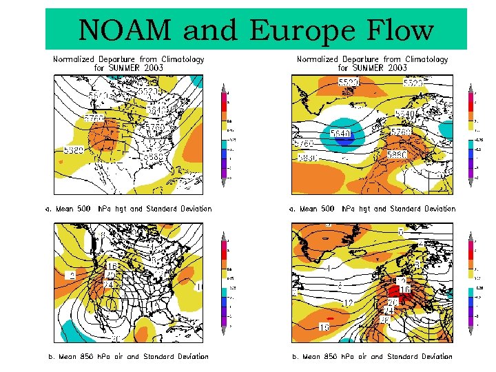 NOAM and Europe Flow 