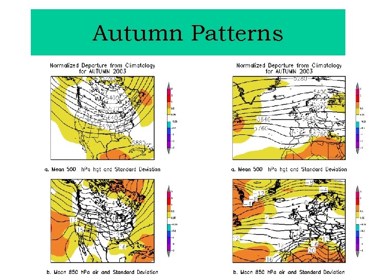 Autumn Patterns 