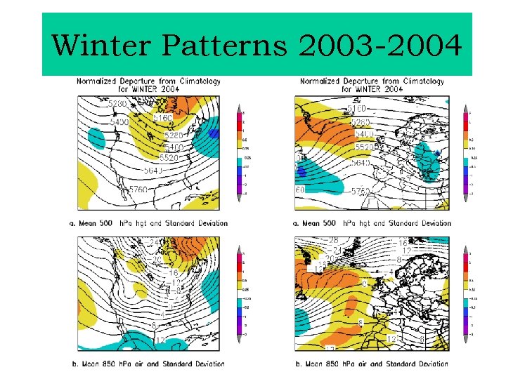 Winter Patterns 2003 -2004 