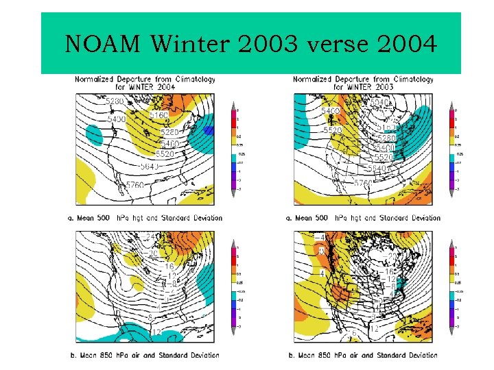 NOAM Winter 2003 verse 2004 