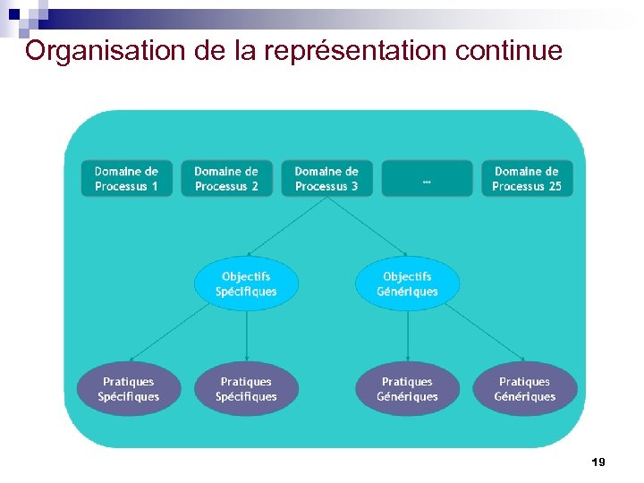 Organisation de la représentation continue 19 