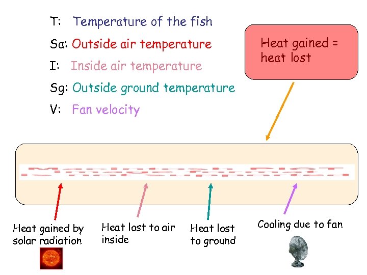 T: Temperature of the fish Sa: Outside air temperature I: Inside air temperature Heat