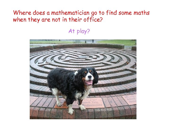 Where does a mathematician go to find some maths when they are not in