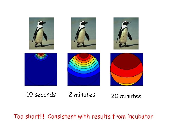 10 seconds 2 minutes 20 minutes Too short!!! Consistent with results from incubator 