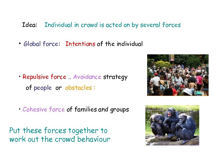 Idea: Individual in crowd is acted on by several forces • Global force: Intentions