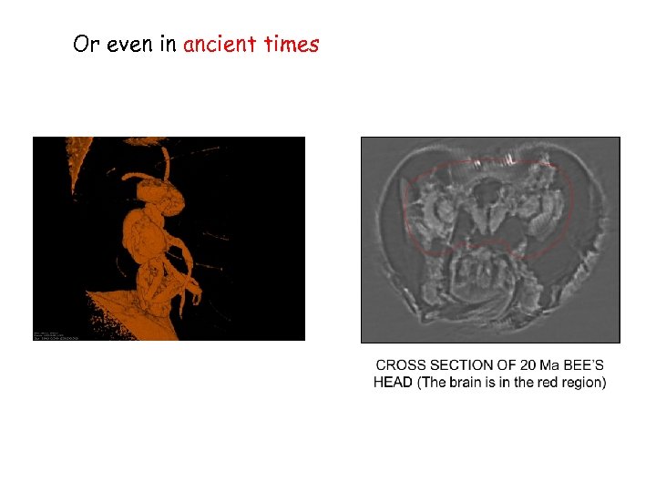 Or even in ancient times 