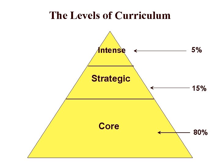 The Levels of Curriculum Intense 5% Strategic 15% Core 80% 