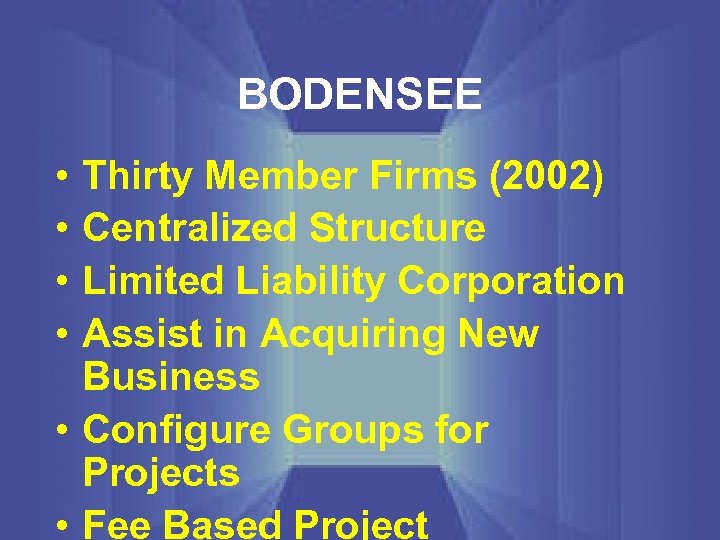 BODENSEE • • Thirty Member Firms (2002) Centralized Structure Limited Liability Corporation Assist in