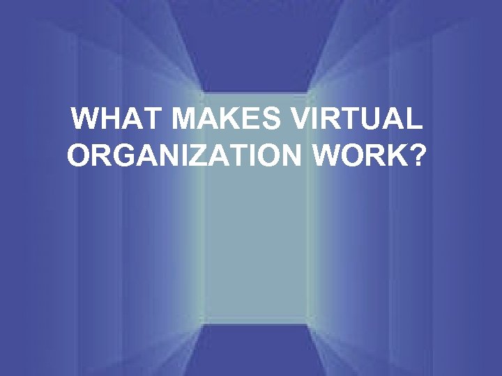 WHAT MAKES VIRTUAL ORGANIZATION WORK? 