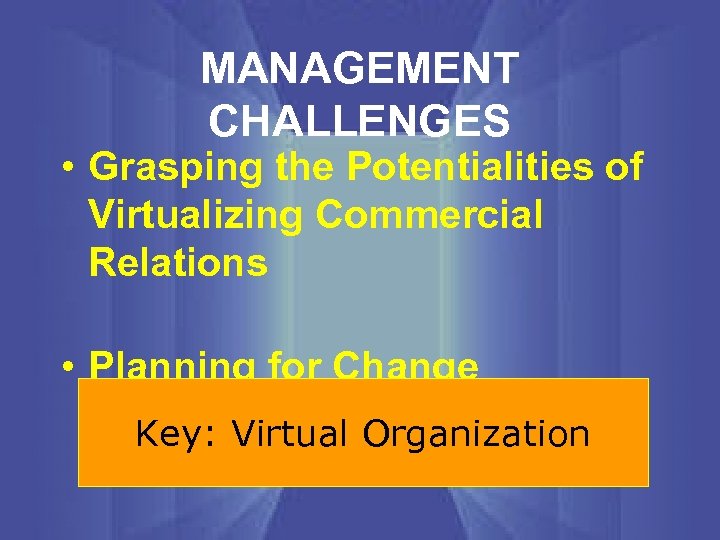 MANAGEMENT CHALLENGES • Grasping the Potentialities of Virtualizing Commercial Relations • Planning for Change