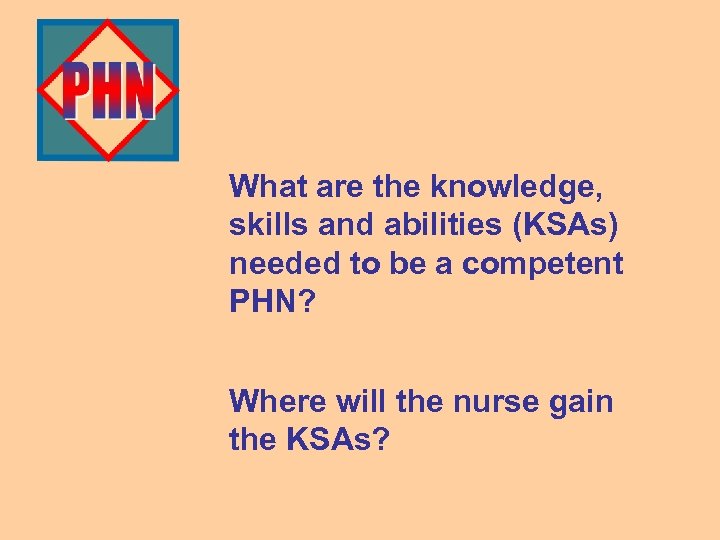 What are the knowledge, skills and abilities (KSAs) needed to be a competent PHN?