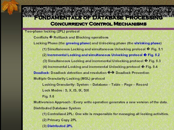 Fundamentals of Database Processing Concurrency Control Mechanisms Two-phase locking (2 PL) protocol Conflicts Rollback