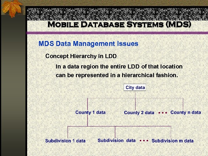 Mobile Database Systems (MDS) MDS Data Management Issues Concept Hierarchy in LDD In a