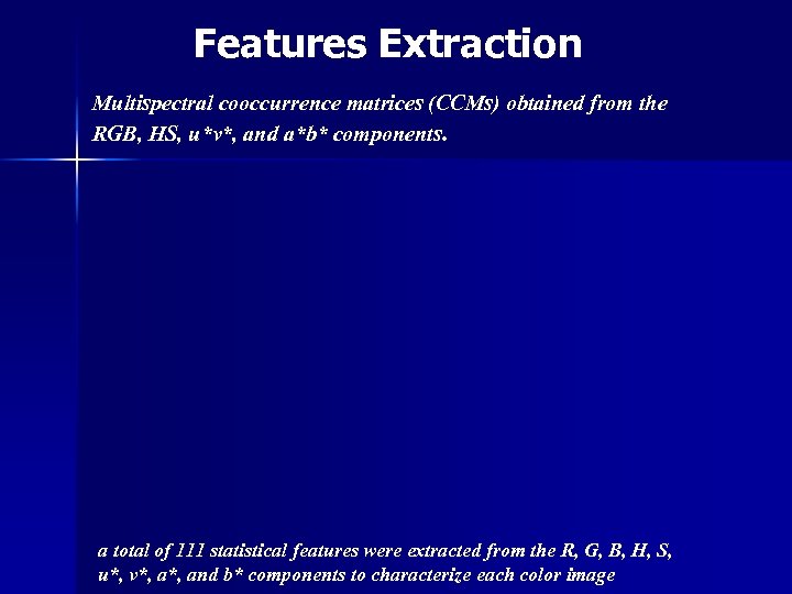 Features Extraction Multispectral cooccurrence matrices (CCMs) obtained from the RGB, HS, u*v*, and a*b*