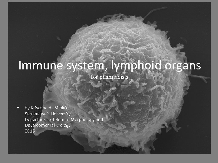 Immune system, lymphoid organs for pharmacists • by Krisztina H. -Minkó Semmelweis University Department