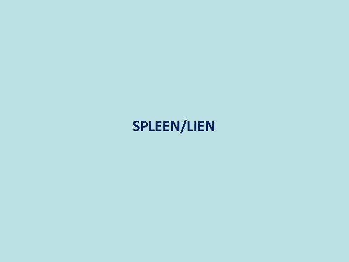 SPLEEN/LIEN 