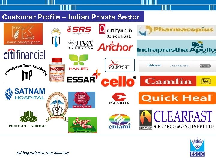 Customer Profile – Indian Private Sector 