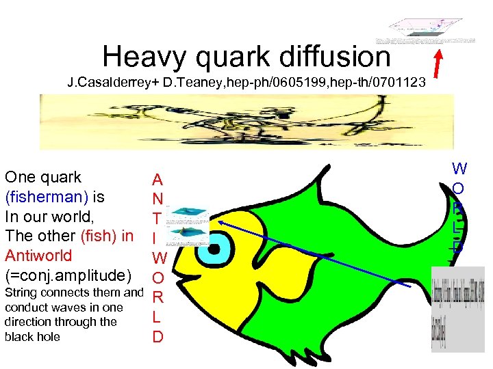 Heavy quark diffusion J. Casalderrey+ D. Teaney, hep-ph/0605199, hep-th/0701123 One quark (fisherman) is In