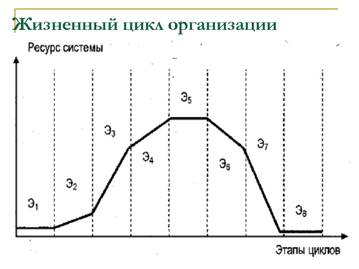 Жизненный цикл организации 