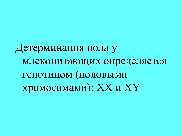 Детерминация пола у млекопитающих определяется генотипом (половыми хромосомами): ХХ и XY 