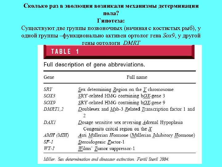 Сколько раз в эволюции возникали механизмы детерминации пола? Гипотеза: Cуществуют две группы позвоночных (начиная