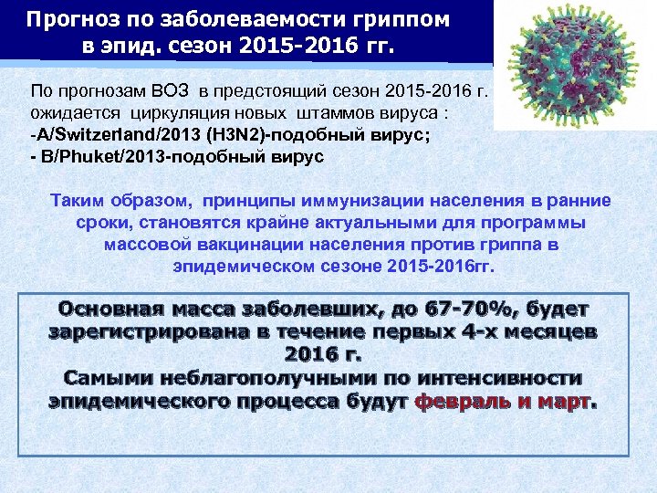 Прогноз по заболеваемости гриппом в эпид. сезон 2015 -2016 гг. По прогнозам ВОЗ в