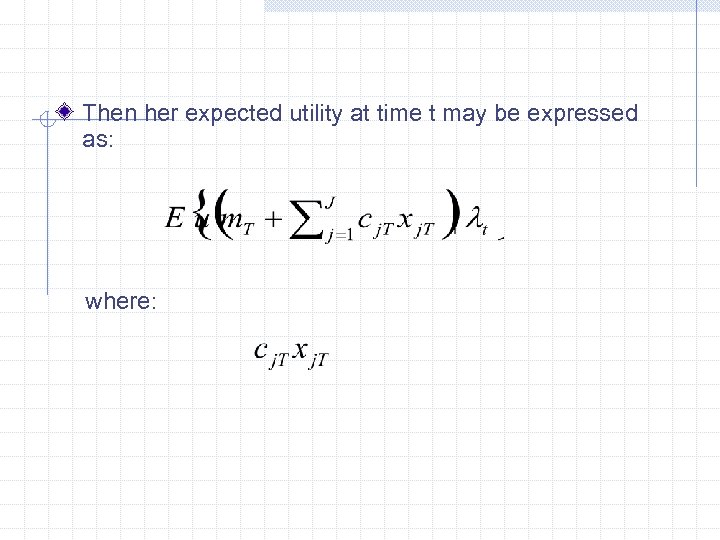 Then her expected utility at time t may be expressed as: where: 