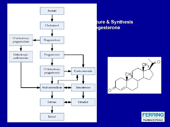 Structure & Synthesis of Progesterone 
