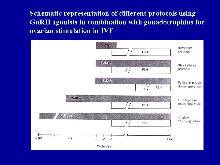 Schematic representation of different protocols using Gn. RH agonists in combination with gonadotrophins for