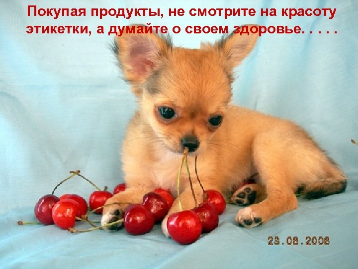 Покупая продукты, не смотрите на красоту этикетки, а думайте о своем здоровье. . .