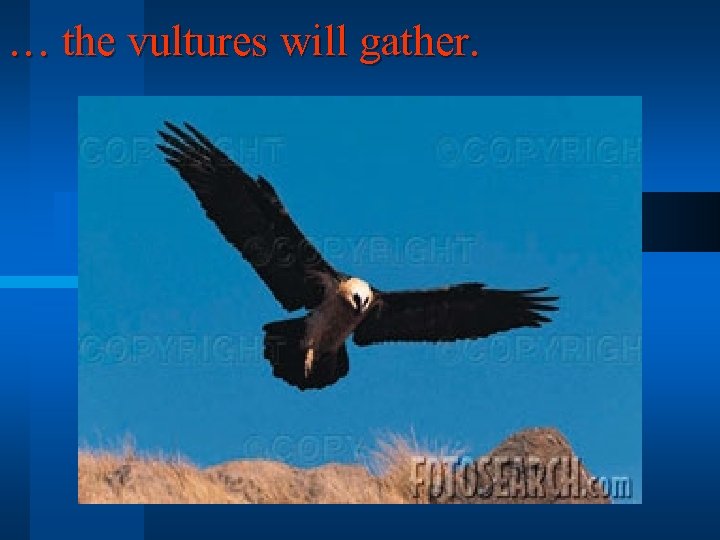 … the vultures will gather. 