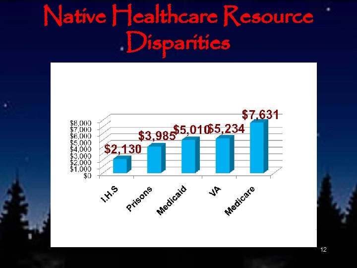 Native Healthcare Resource Disparities 12 
