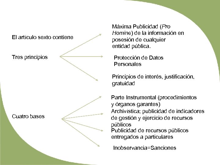El artículo sexto contiene Tres principios Máxima Publicidad (Pro Homine) de la información en
