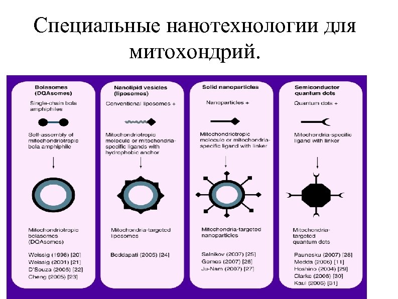 Специальные нанотехнологии для митохондрий. 