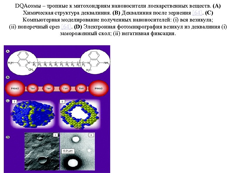 DQAсомы – тропные к митохондриям наноносители лоекарственных веществ. (A) Химическая структура деквалиния. (B) Деквалиния