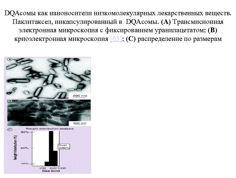 DQAсомы как наноносители низкомолекулярных лекарственных веществ. Паклитаксел, инкапсулированный в DQAсомы. (A) Трансмисионная электронная микроскопия