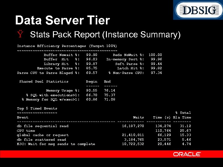 Data Server Tier Ÿ Stats Pack Report (Instance Summary) Instance Efficiency Percentages (Target 100%)