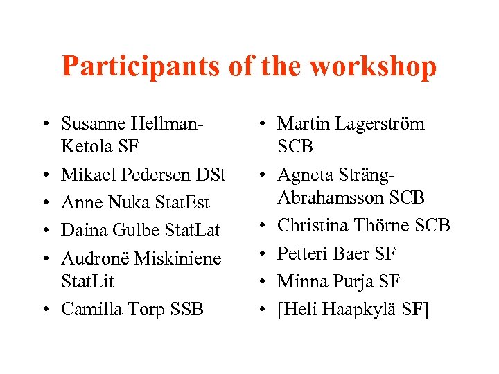 Participants of the workshop • Susanne Hellman. Ketola SF • Mikael Pedersen DSt •