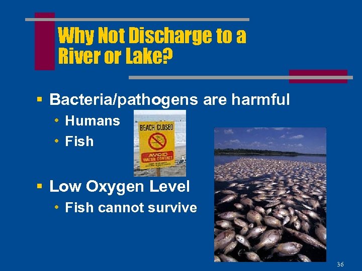 Why Not Discharge to a River or Lake? § Bacteria/pathogens are harmful • Humans