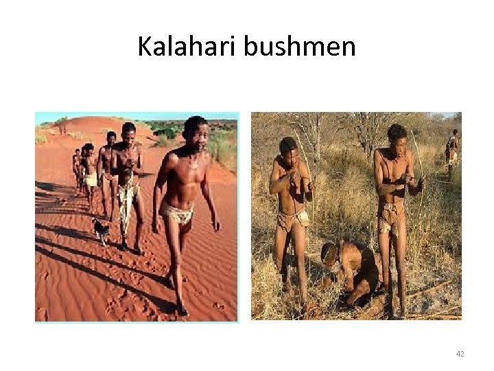 Kalahari bushmen 42 