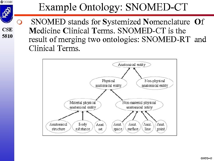 Example Ontology: SNOMED-CT m CSE 5810 SNOMED stands for Systemized Nomenclature Of Medicine Clinical