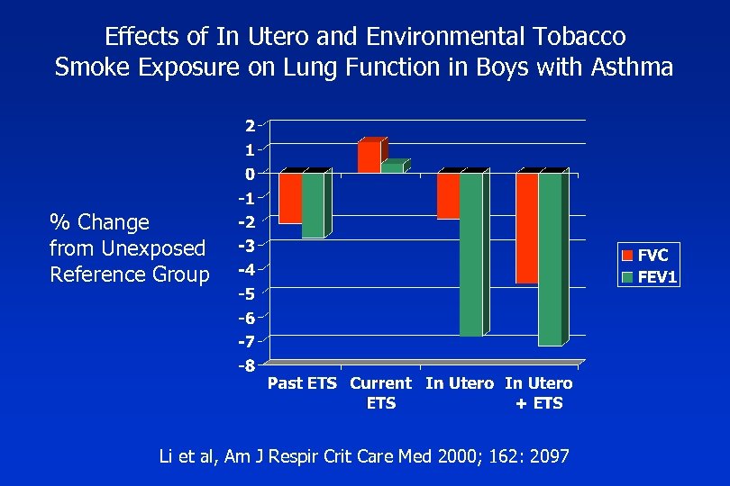 Effects of In Utero and Environmental Tobacco Smoke Exposure on Lung Function in Boys