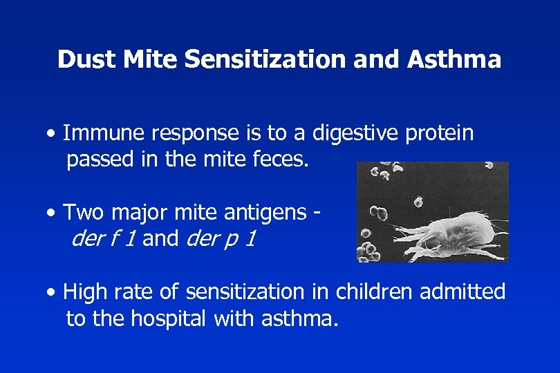 Dust Mite Sensitization and Asthma • Immune response is to a digestive protein passed