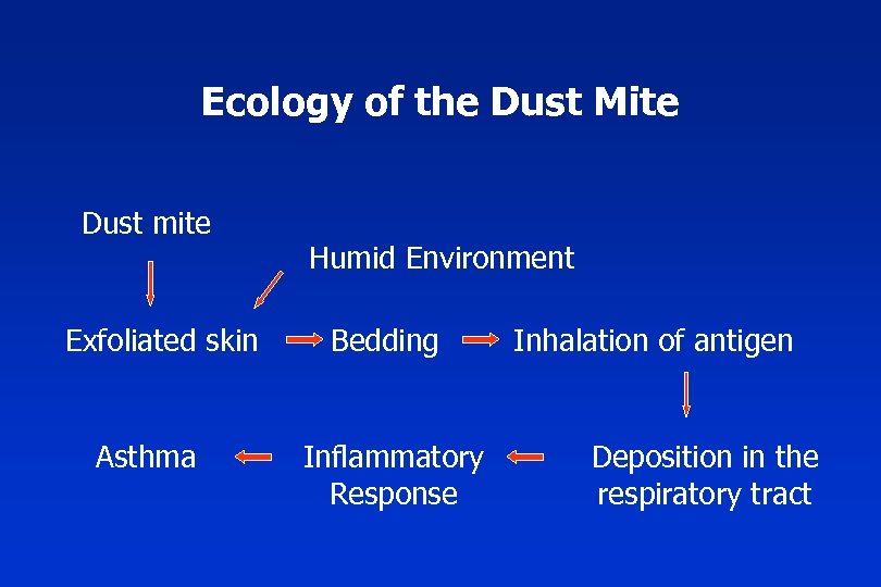 Ecology of the Dust Mite Dust mite Exfoliated skin Asthma Humid Environment Bedding Inflammatory