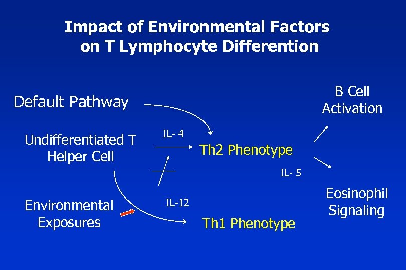 Impact of Environmental Factors on T Lymphocyte Differention B Cell Activation Default Pathway Undifferentiated