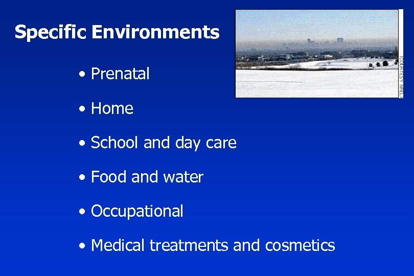 Specific Environments • Prenatal • Home • School and day care • Food and