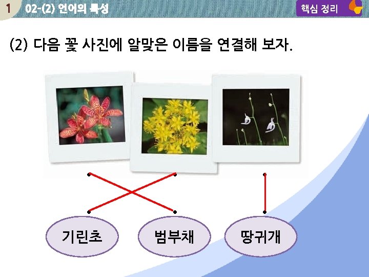 1 02 -(2) 언어의 특성 핵심 정리 (2) 다음 꽃 사진에 알맞은 이름을 연결해