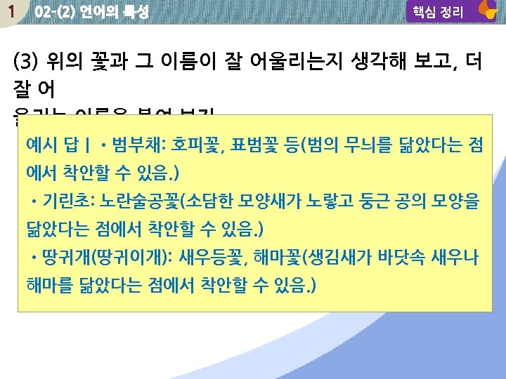 1 02 -(2) 언어의 특성 핵심 정리 (3) 위의 꽃과 그 이름이 잘 어울리는지
