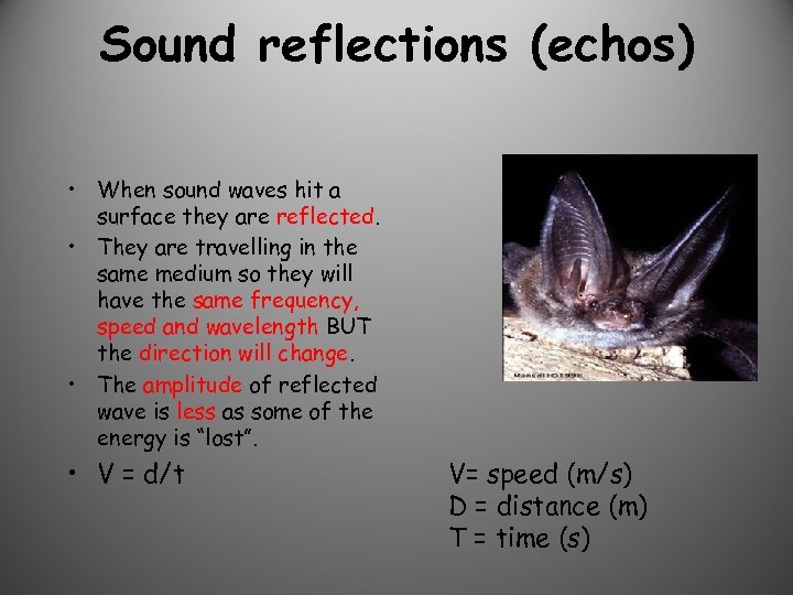 Sound reflections (echos) • When sound waves hit a surface they are reflected. •
